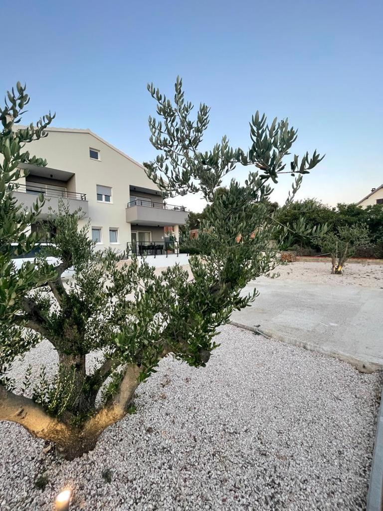 Luxury Apartments Leonika بيبينيا المظهر الخارجي الصورة